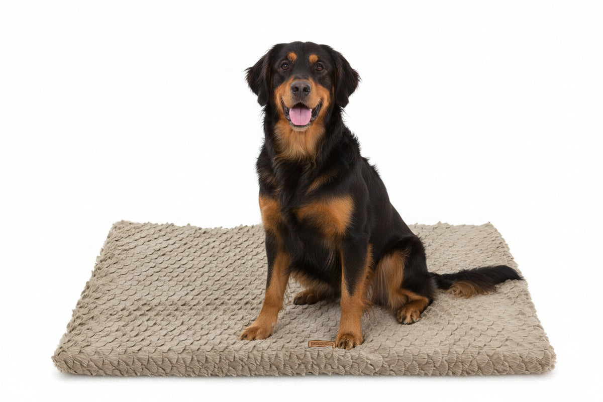 Dog bed