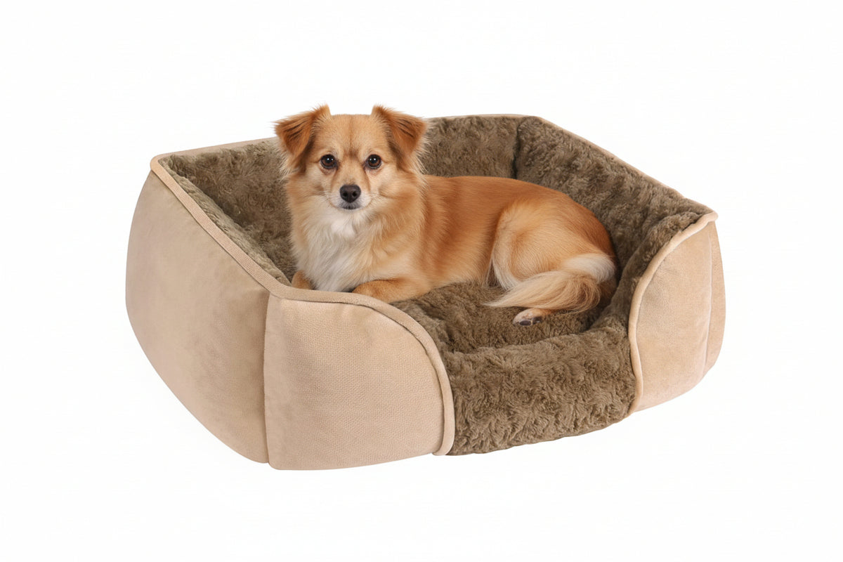 Dog bed