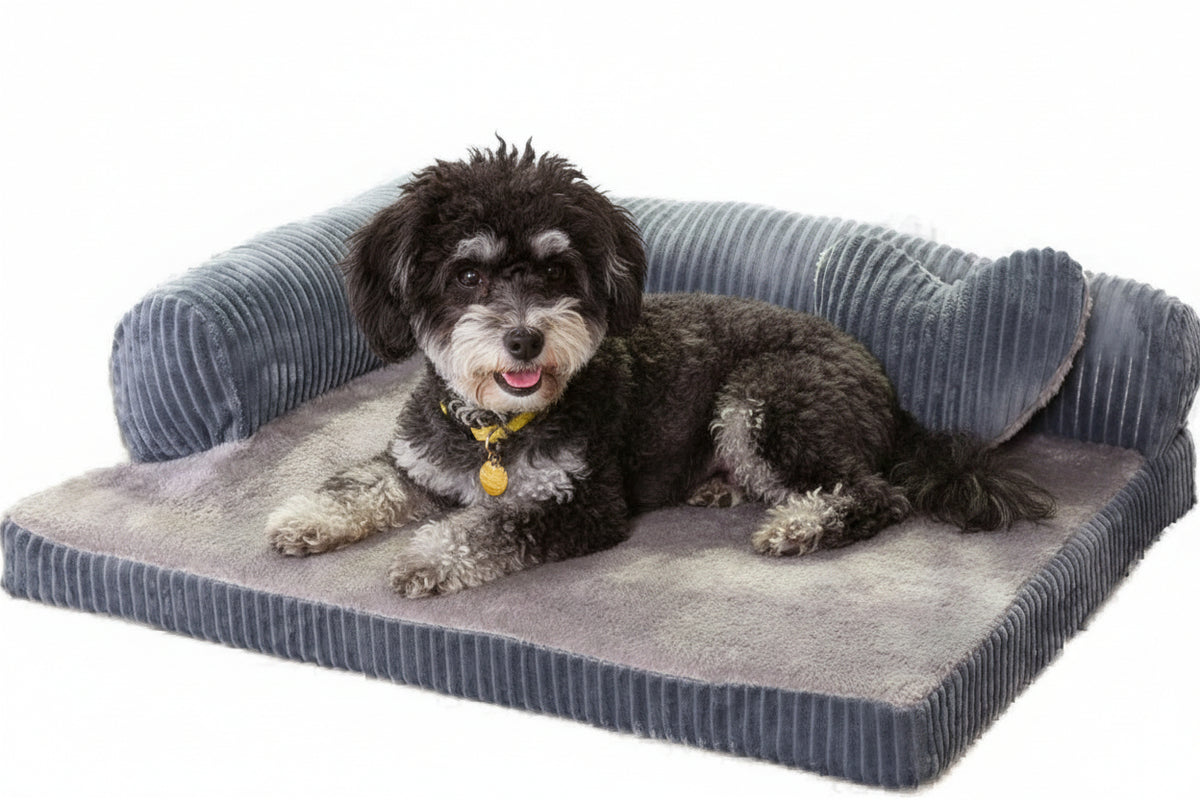 Dog bed