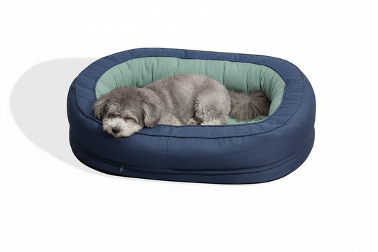 Dog bed