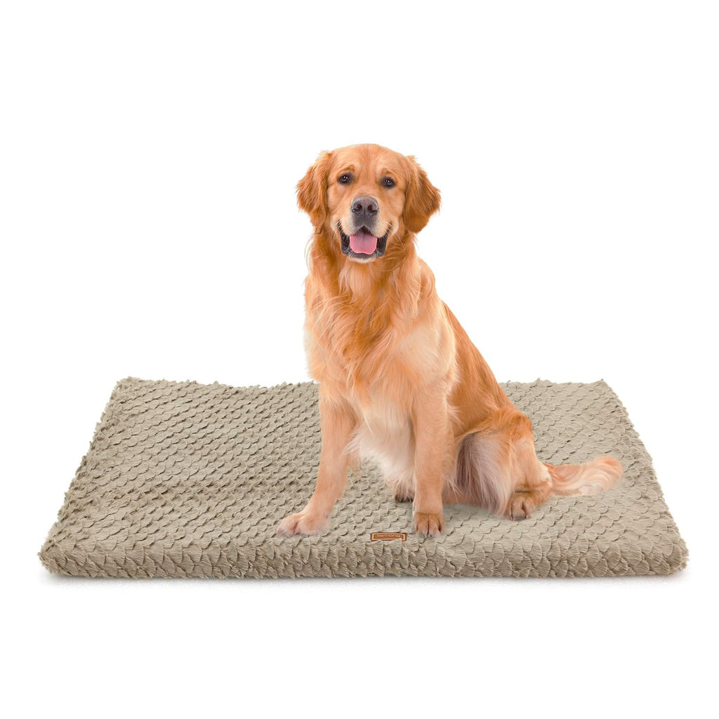 ilemong Dog Beds for Large Medium Dogs Orthopedic Dog Bed with Removable Washable Cover Pet Bed Mat Egg Crate Foam & Non-Slip Bottom (Beige 35.4"X22.8"X2")