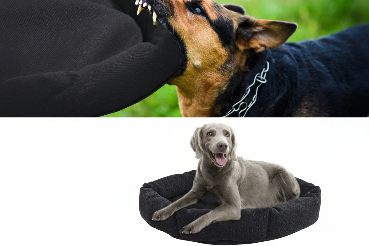 Dog bed